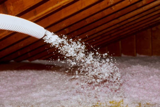 Best Insulation Materials and Products in Thatcher, UT